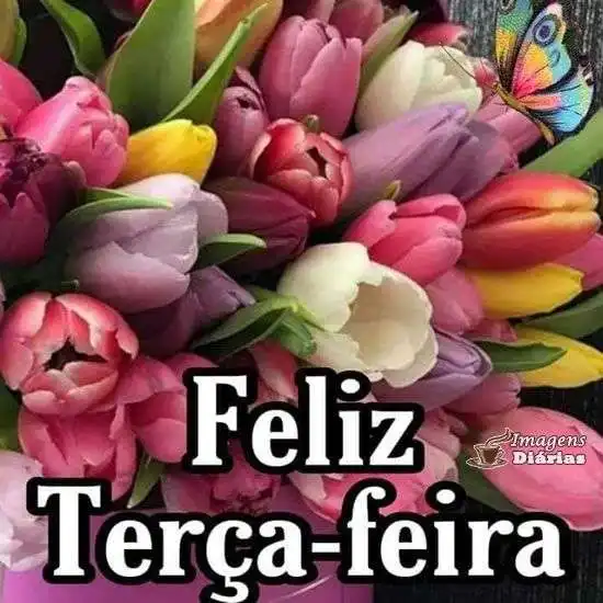Feliz terça-feira