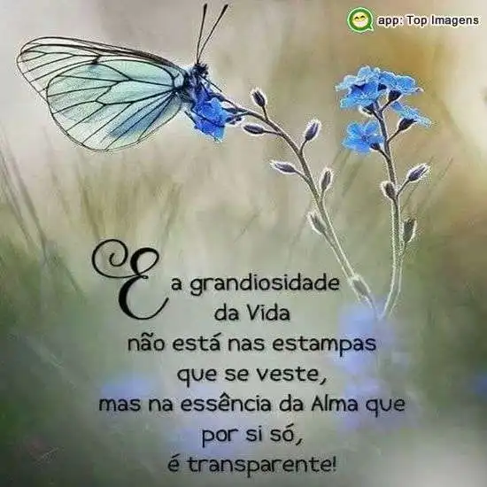 Grandiosidade da vida