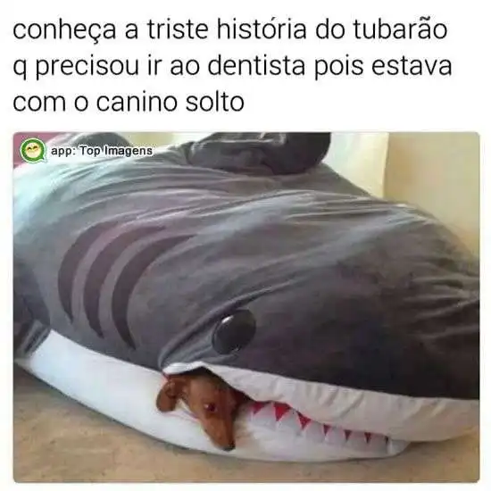 História do tubarão