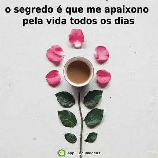 Me apaixono pela vida