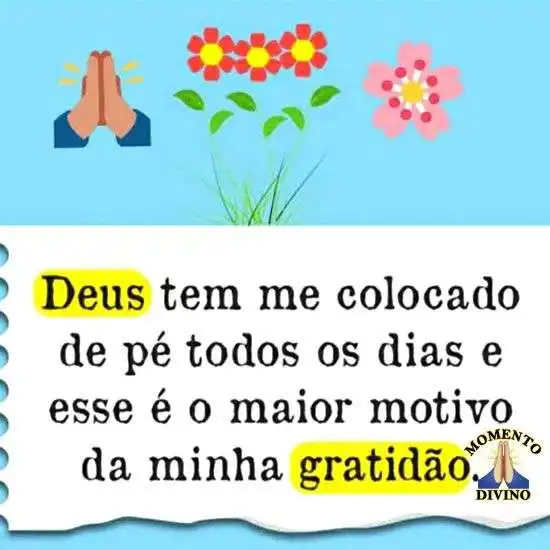 Motivo da minha gratidão