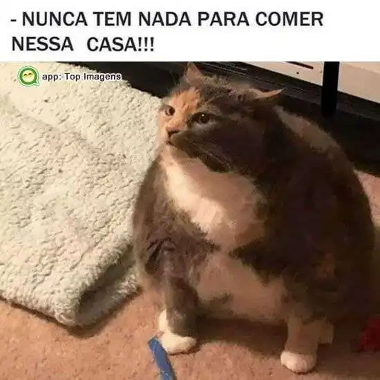 Nada pra comer