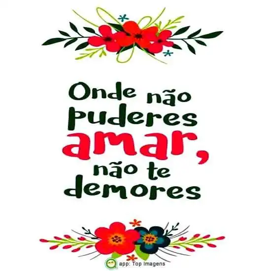Onde não puderes amar