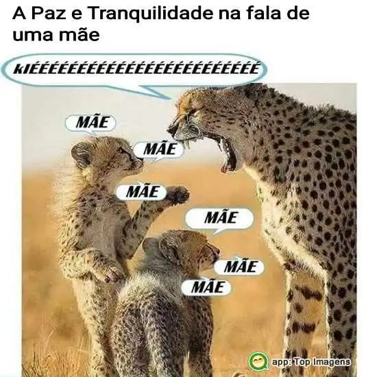 Paz e tranquilidade