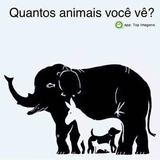 Quantos animais você vê