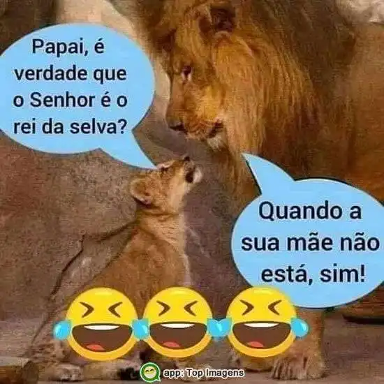 Rei da selva