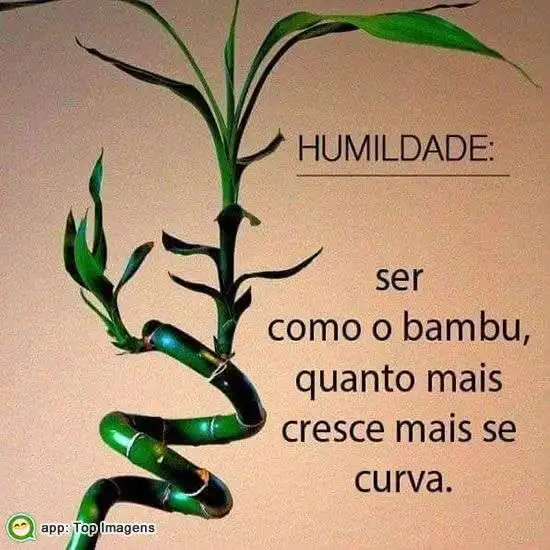 Ser como o bambu