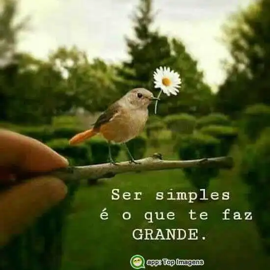 Ser simples