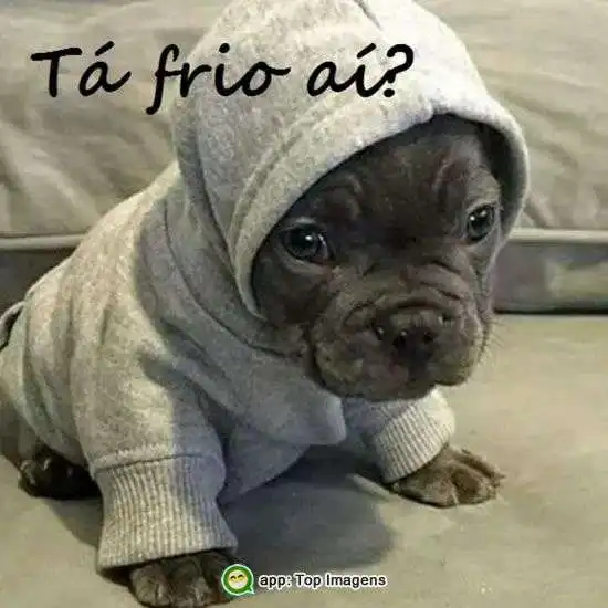 Tá frio aí?