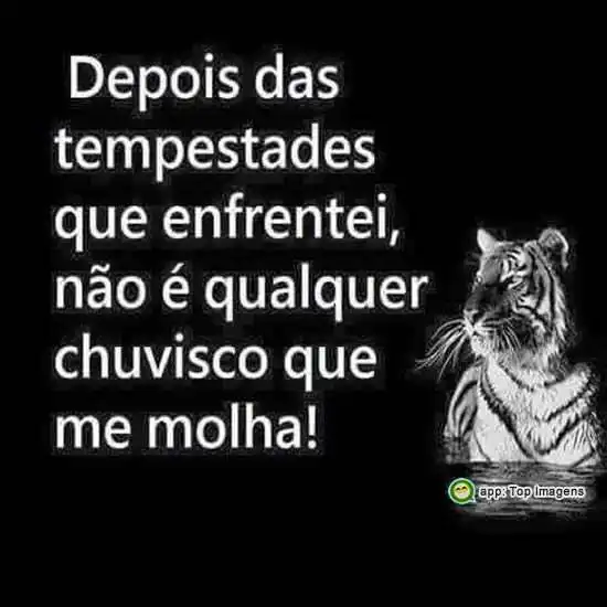 Tempestade que enfrentei