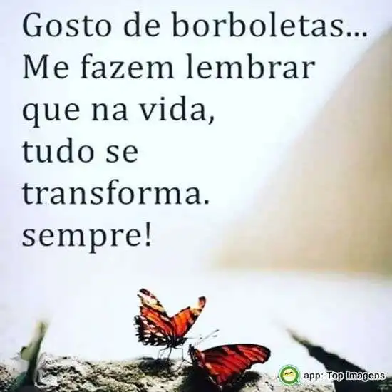 Tudo se transforma sempre