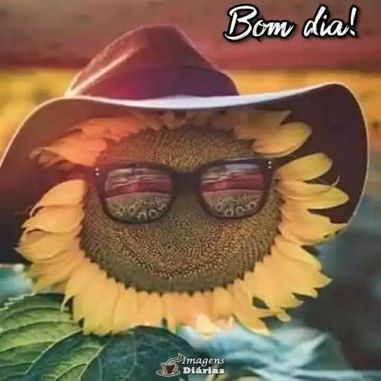 Bom dia
