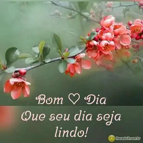 Bom dia
