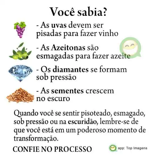 Confie no processo