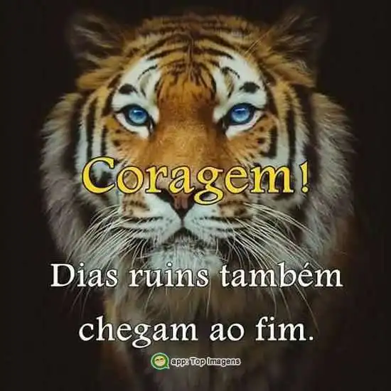 Coragem nos dias ruins
