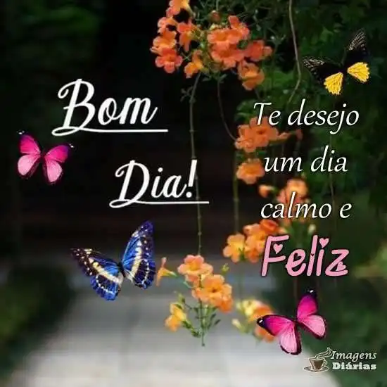 Dia calmo e feliz