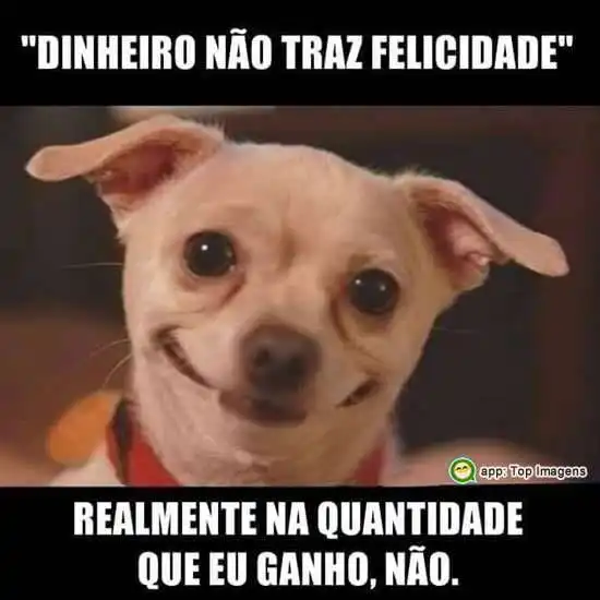 Dinheiro não traz felicidade