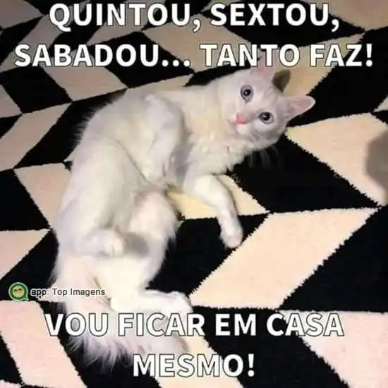 Ficar em casa