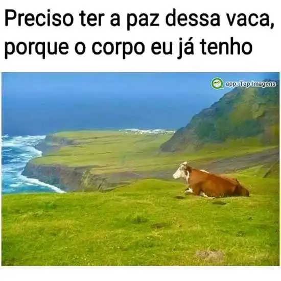 Preciso ter paz