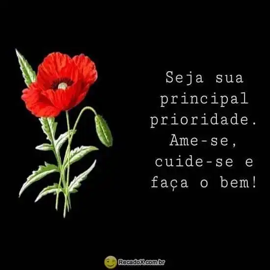 Principal prioridade