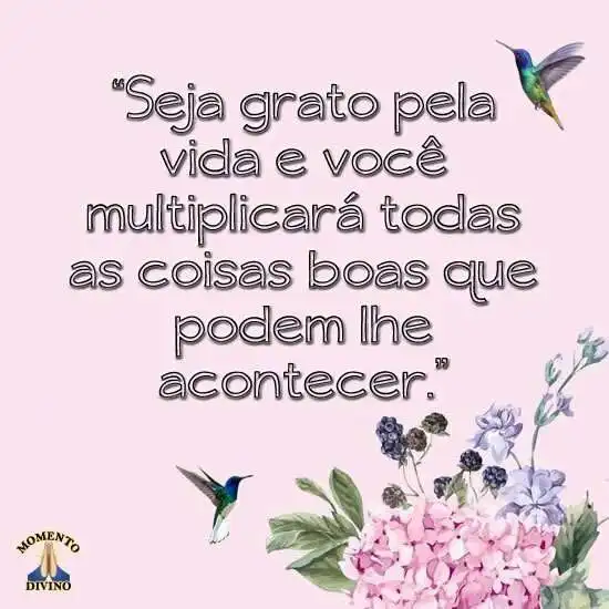 Seja grato pela vida