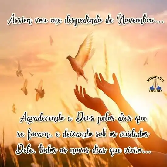 Vou me despedindo de Novembro