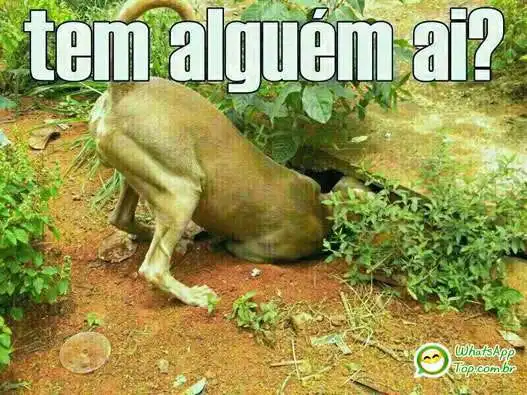 Tem alguém ai