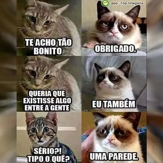 Te acho tão bonito