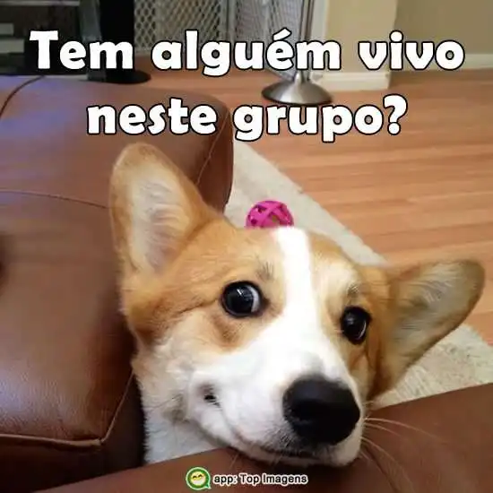 Tem alguém vivo nesse grupo