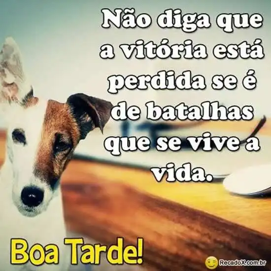 A vitória não está perdida