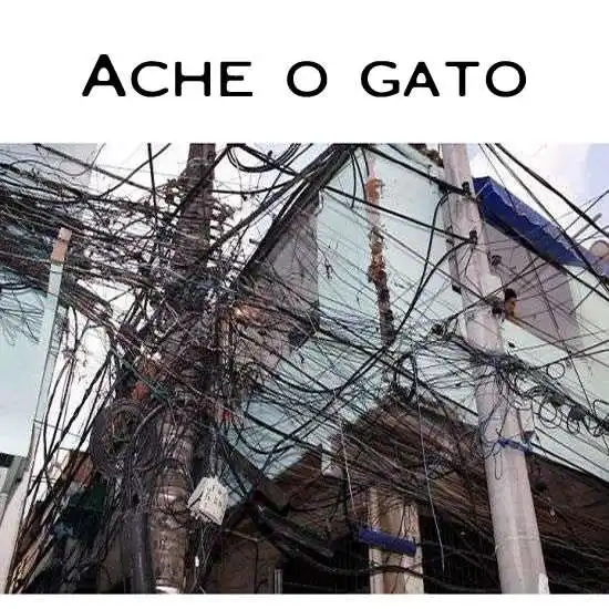 Ache o gato