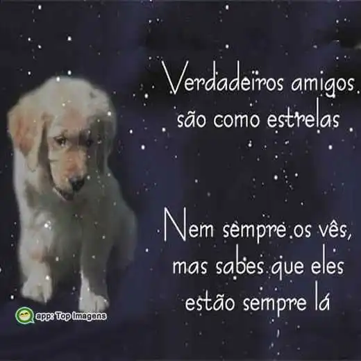 Amigos são como estrelas