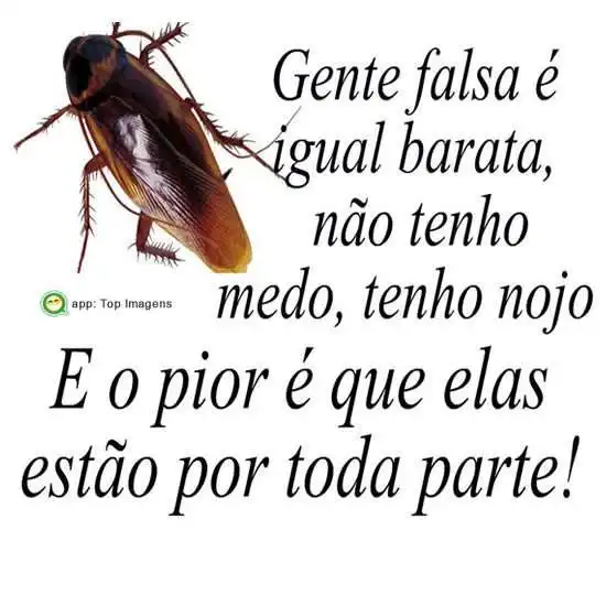 Gente falsa é igual barata
