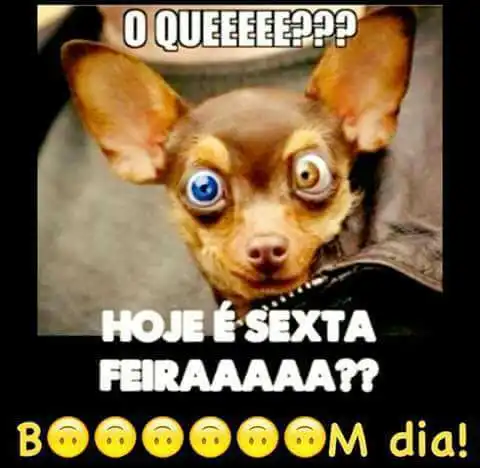Hoje é sexta-feira