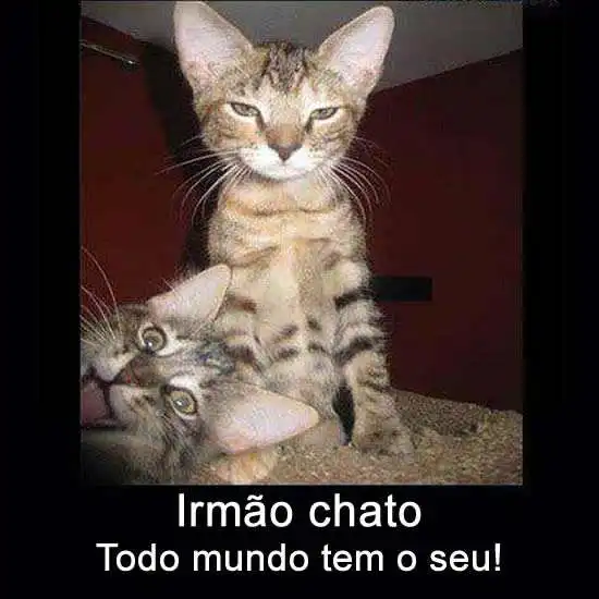 Irmão chato