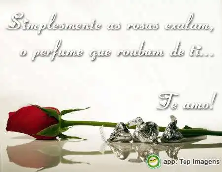 Rosas exalam o perfume
