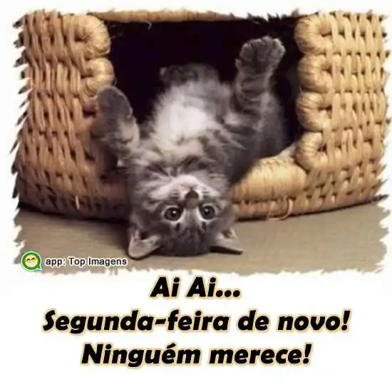 Segunda-Feira