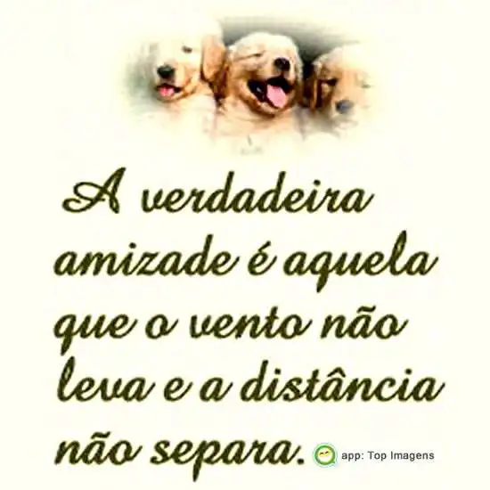 Verdadeira amizade