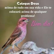 Bom dia