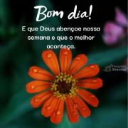 Bom dia