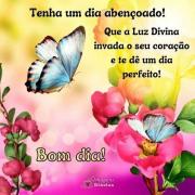 Bom dia
