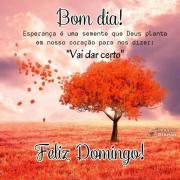 Bom dia