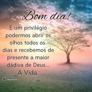 Bom dia