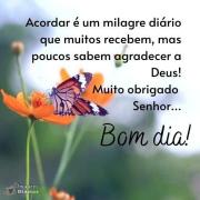 Bom dia