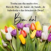 Bom dia