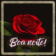 Boa noite