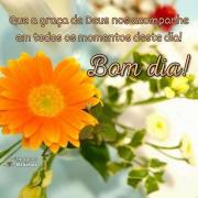 Bom dia