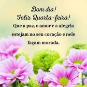 Bom dia e feliz quarta-feira