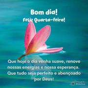 Bom dia quarta-feira