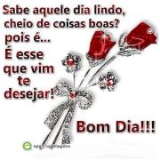 Bom dia
